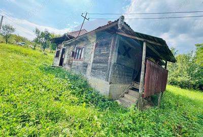 Casa / Vila cu 4 camere de vanzare in zona Est - 11