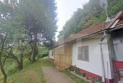 Casa de vanzare Colonia 1 Mai 75.000 EURO - 7