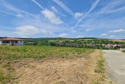 Teren Intravilan 1846 mp Casa | Duplex - 3