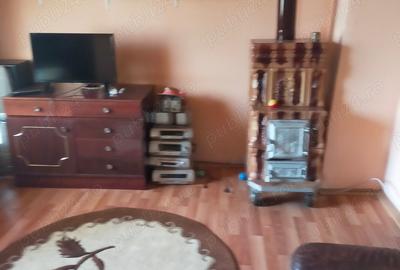 Vand casa la curte - 4