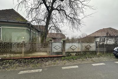 Teren 3000 mp + 2 case de vanzare-Ca?eiu - 18