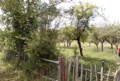 Teren de 10400 mp, în Central - 1