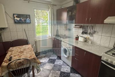 Apartament cu 2 camere semidecomandat, mobilat în Gemenii - 4