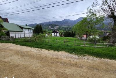 Teren de 2675 mp, în Poiana Țapului - 6