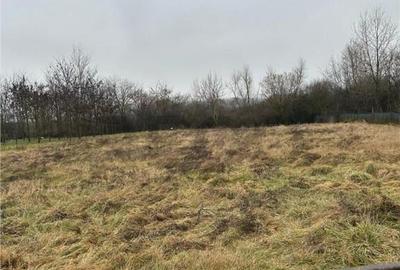 RECO Casa cu 2 camere de vazare in Ungaria la 9km de oradea - 4