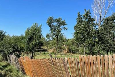 Casă cu 3 camere în Gliganu de Sus - 1