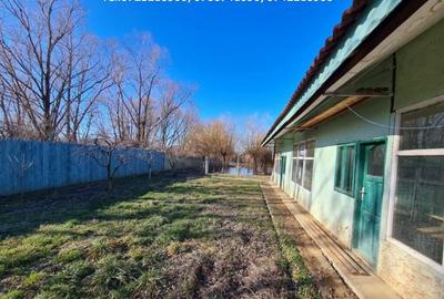 Casa D+P+1, situata in Curtisoara - 18