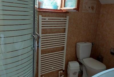 Casă individuală cu 5 camere cu Teren 750 Mp în Lepșa - 11