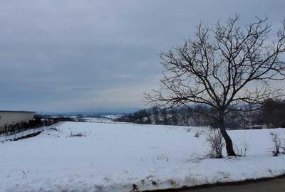 Spațiu comercial, în Central - 5