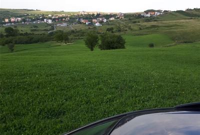 Teren de 4039 mp, în Borhanci - 2