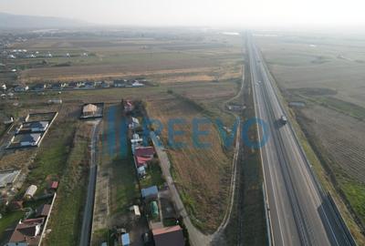 Teren intravilan 4.832 de vanzare Letea Veche - 3