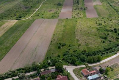 Teren extravilan Urseni, Timis - 2