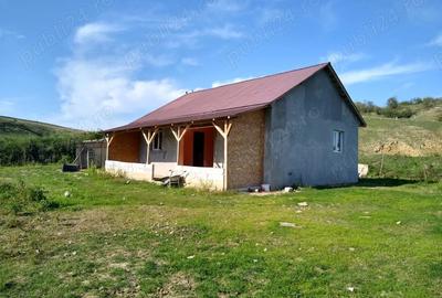 Casă cu Teren 1500 Mp în Dobromir - 5