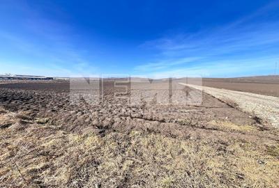 Teren agricol extravilan de 10000 mp, în Stroiești - 13