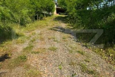 Casă cu 3 camere cu Teren 1600 Mp în Petrilaca - 3