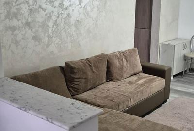 Apartament cu 2 camere semidecomandat în Milcov - 4