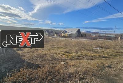 Teren Turturesti la strada principala - 3