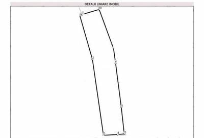 Teren intravilan parcelabil, 6000 mp in Salicea - 2