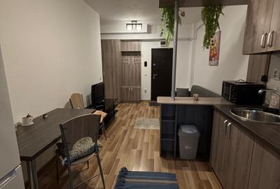 Apartament cu o cameră zona Palas - 4