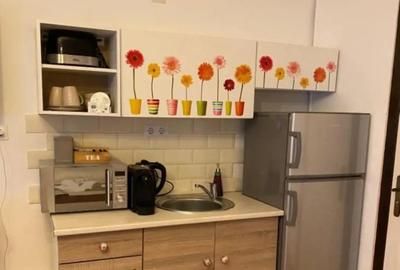 Inchiriez apartament in centrul vechi - 5