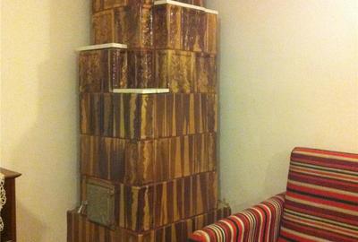 Casă cu 3 camere cu Teren 3000 Mp în Gorganu - 4