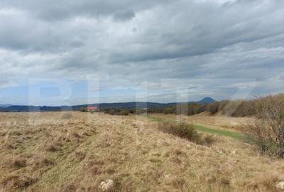 Teren de 10000 mp, în Central