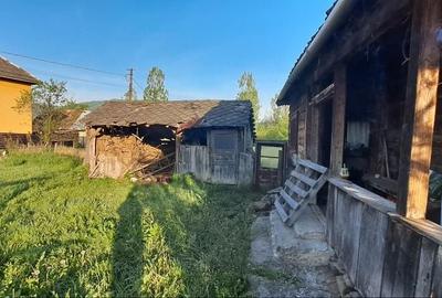 Casă cu 2 camere în Strâmtura - 8