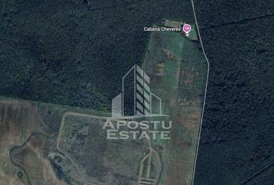 Teren 27000 mp, ideal centru seniori,liziera padurii, Che... - 2