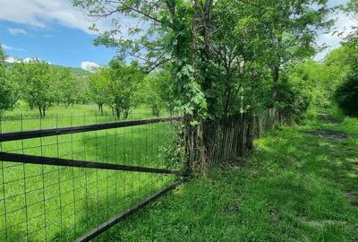 Spațiu comercial, în Brebu - 7