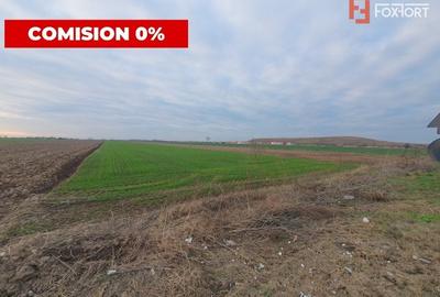 COMISION 0% Teren extravilan agricol 10.000 mp la sosea in Sag - 1