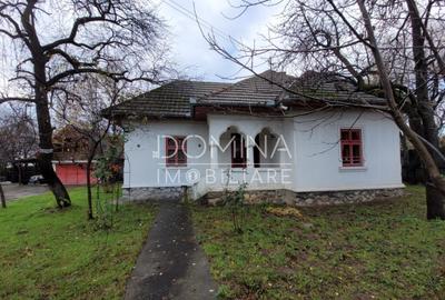 Casa tradi?ionala, in centrul satului Polovragi - 19