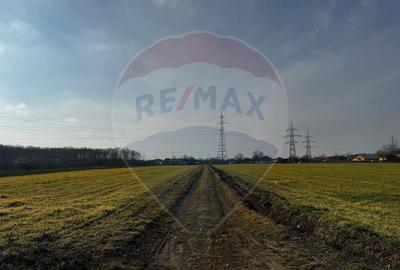 Teren 4,000mp Balotesti / Strada Rozelor - 2