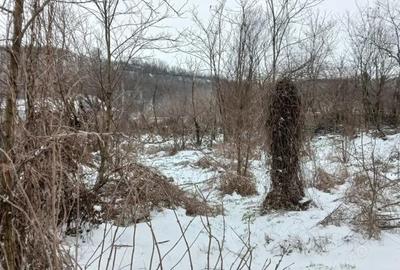 Casă cu 3 camere cu Teren 1600 Mp în Central - 5