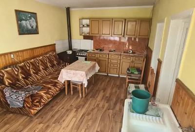 Casă cu 6 camere cu Teren 4200 Mp în Craiva - 3