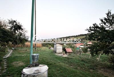 De vanzare 2 case cu 4.900 mp teren, Livezeni 0% comision - 12