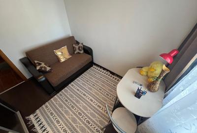 Inchiriere apartament 3 camere Pantelimon/ Parcul Florilor - 15