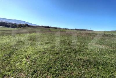 Teren de 2900 mp, în Central - 5