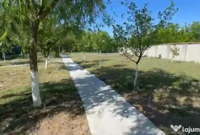Casă cu 8 camere cu Teren 5000 Mp în Malu Mare - 1
