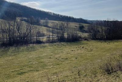 Spațiu comercial, în Vârciorog - 1