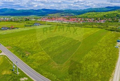 Teren Construcții intravilan de 8600 mp, în Tărlungeni - 8