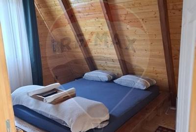 Casă cu 3 camere cu Teren 1256 Mp în Giulești - 14