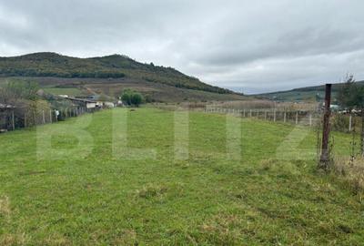 Teren 4000 mp,autorizatie de constructie Lechinta - 15