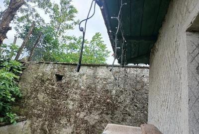 Casă cu 2 camere cu Teren 2000 Mp în Cerchezu - 1