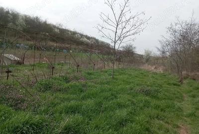 Casă cu 3 camere cu Teren 4700 Mp în Varlaam - 2