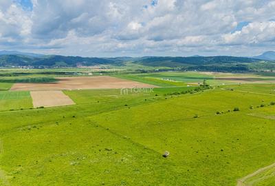Teren agricol extravilan de 5800 mp, în Tohanu Nou - 4
