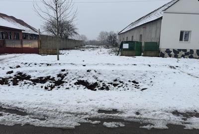 Teren Construcții intravilan de 1740 mp, în Dudeștii Noi - 3