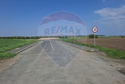 Teren Construcții intravilan de 1350 mp, în Brănești - 5