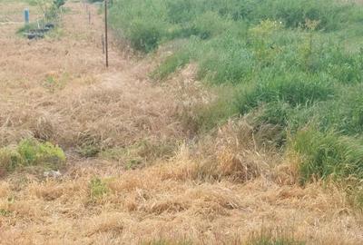 Teren de 1192 mp, în Dumitrana - 3