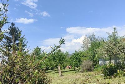 Casă cu 3 camere cu Teren 1376 Mp în Boldești