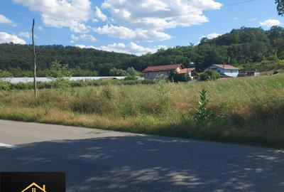 Teren de 1200 mp, în Coțofenii din Dos - 6
